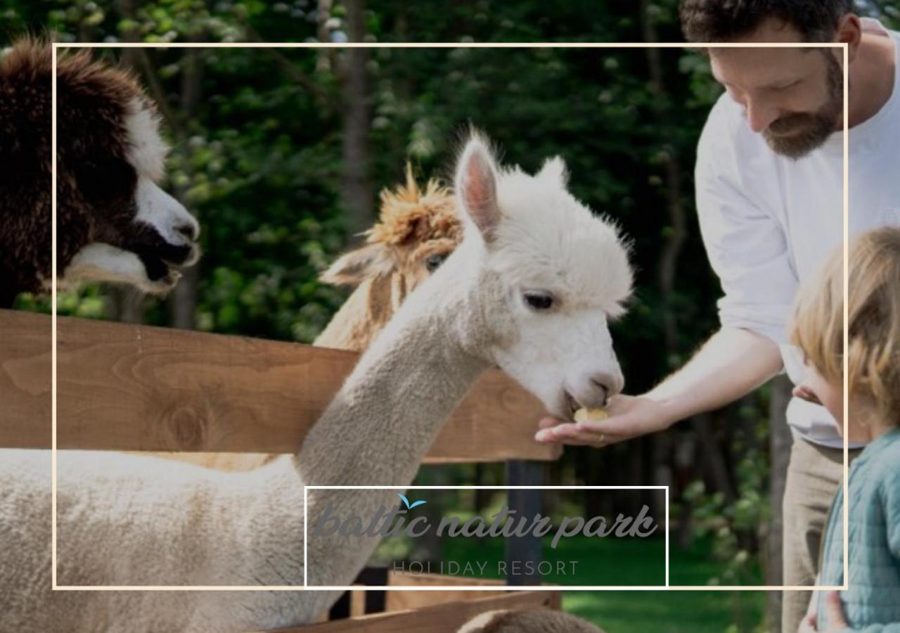נישורזה Baltic Natur Park - Holiday Resort מראה חיצוני תמונה